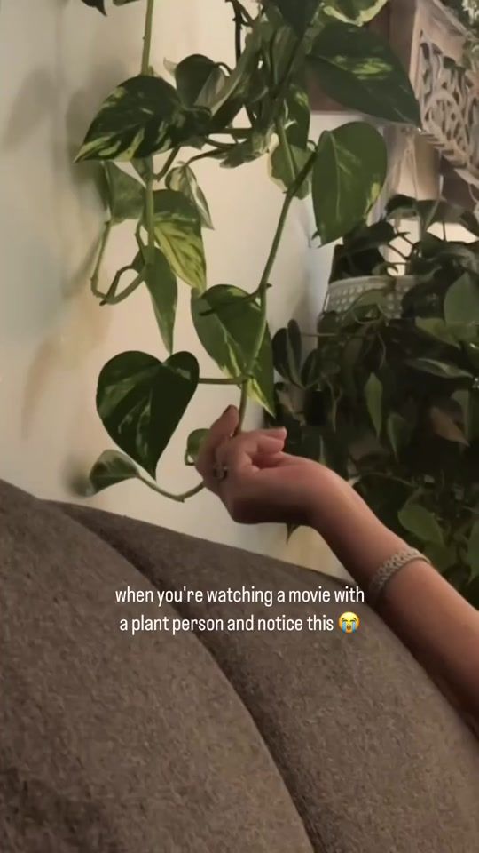TikTok video thumbnail by plnts.com