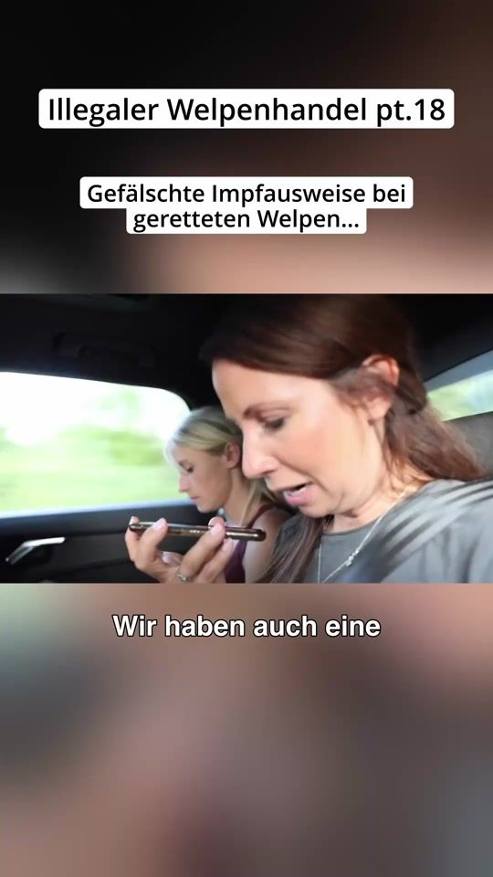 TikTok video thumbnail by _hunderunde_