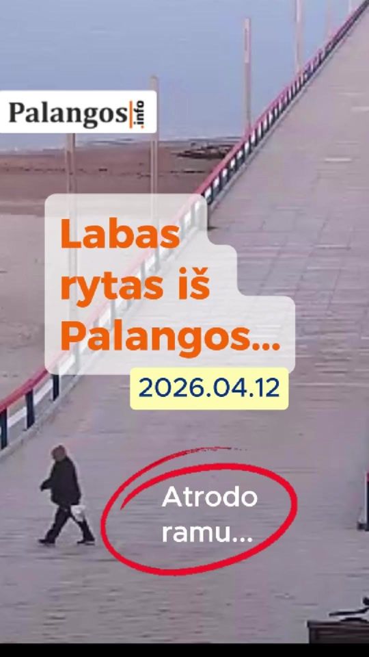 TikTok video thumbnail by palangos.info