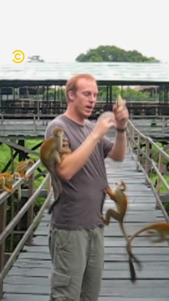 TikTok video thumbnail by comedycentraluk