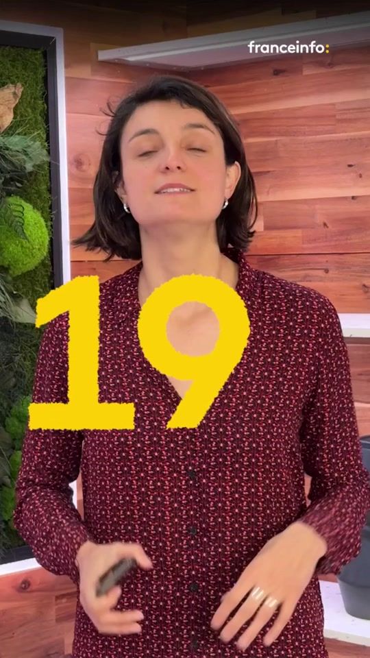 TikTok video thumbnail by franceinfo