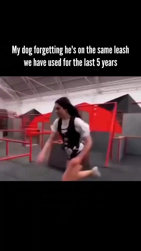 TikTok video thumbnail by housemuusic