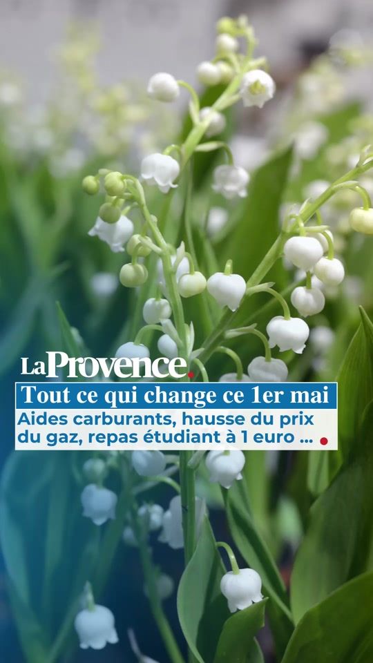 TikTok video thumbnail by laprovence_