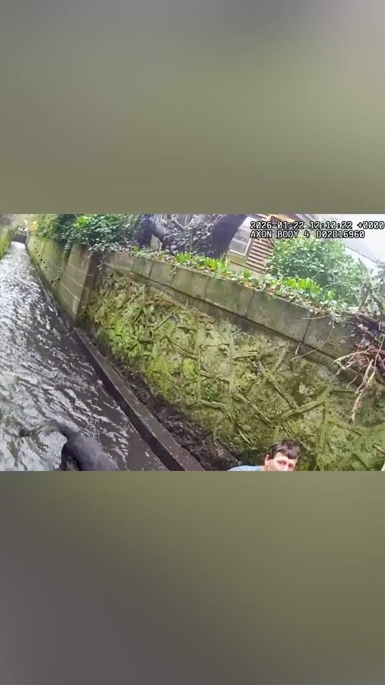 TikTok video thumbnail by metpoliceuk