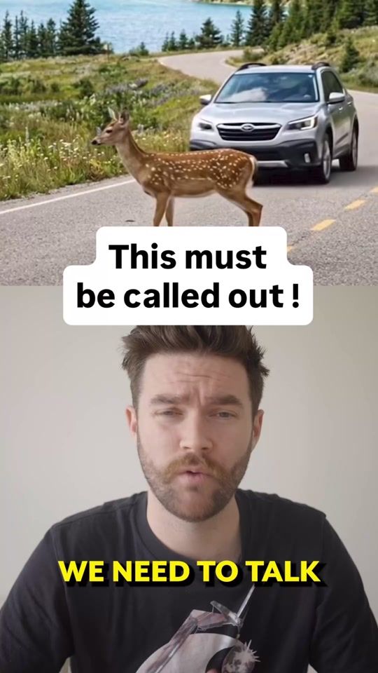 TikTok video thumbnail by protectthewild_