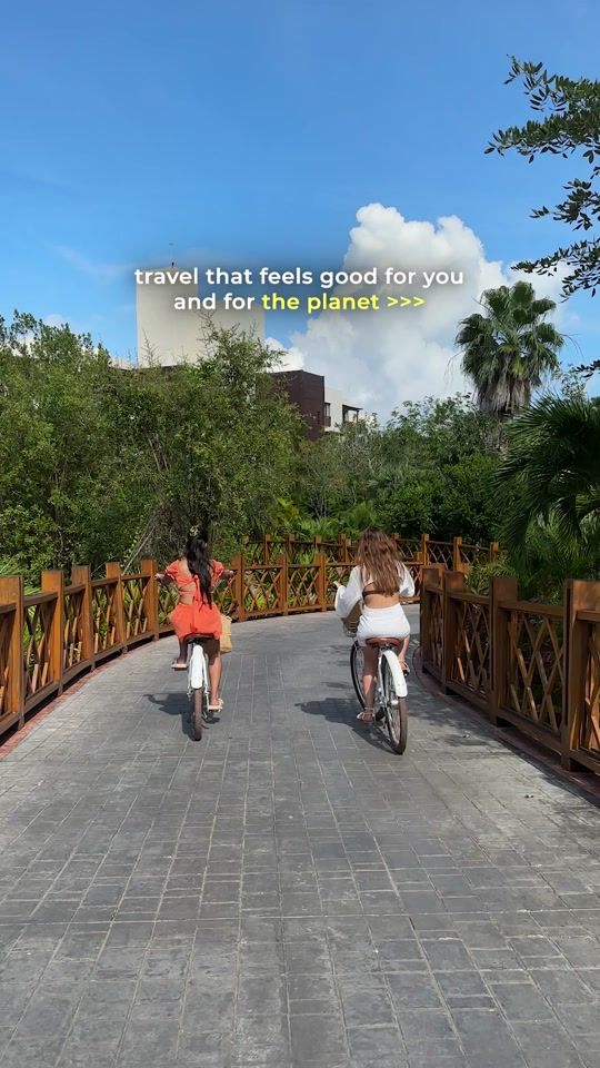 TikTok video thumbnail by all_accor