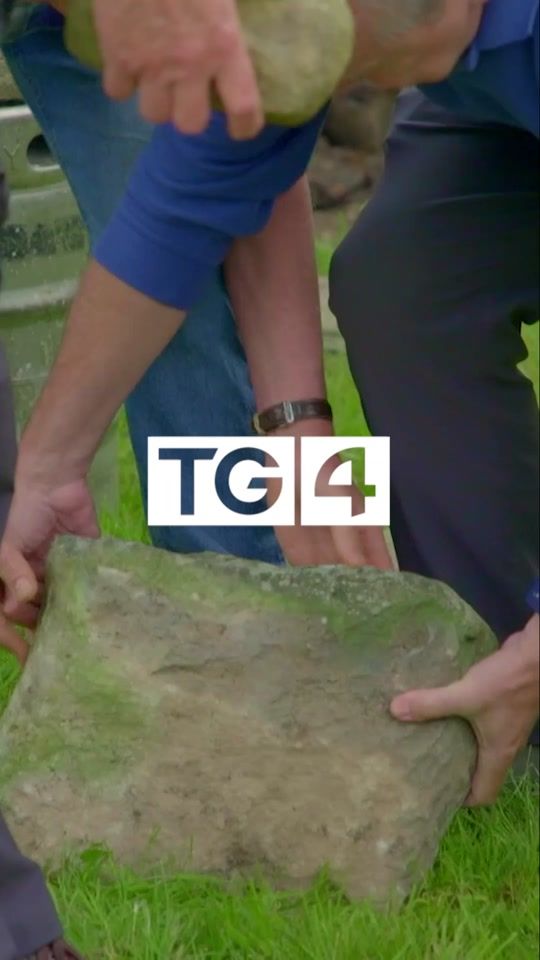 TikTok video thumbnail by tg4tv