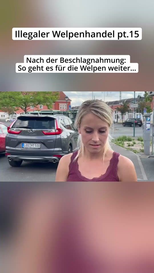 TikTok video thumbnail by _hunderunde_