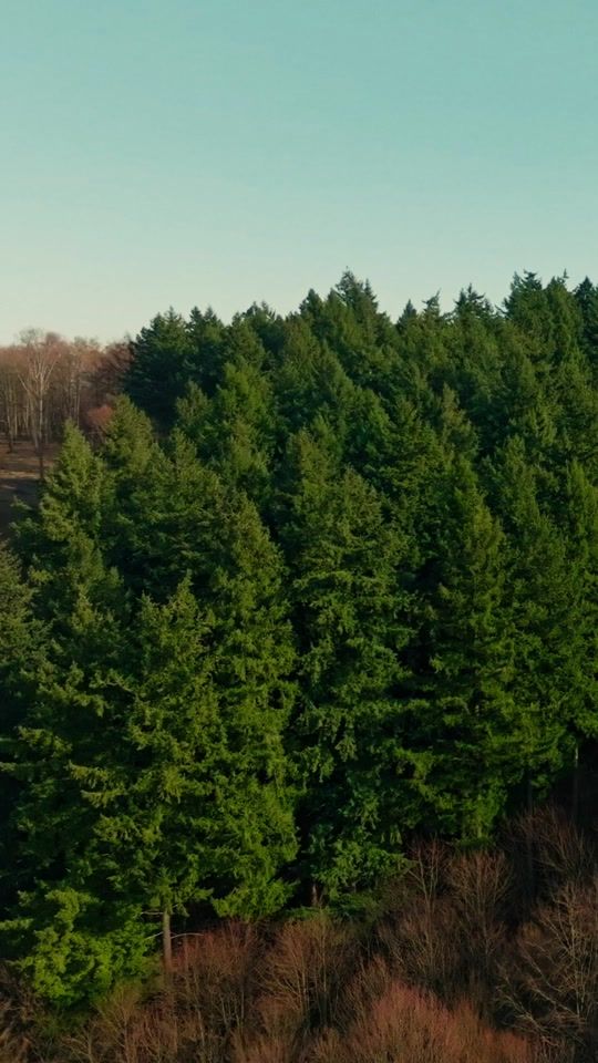 TikTok video thumbnail by kulturapont