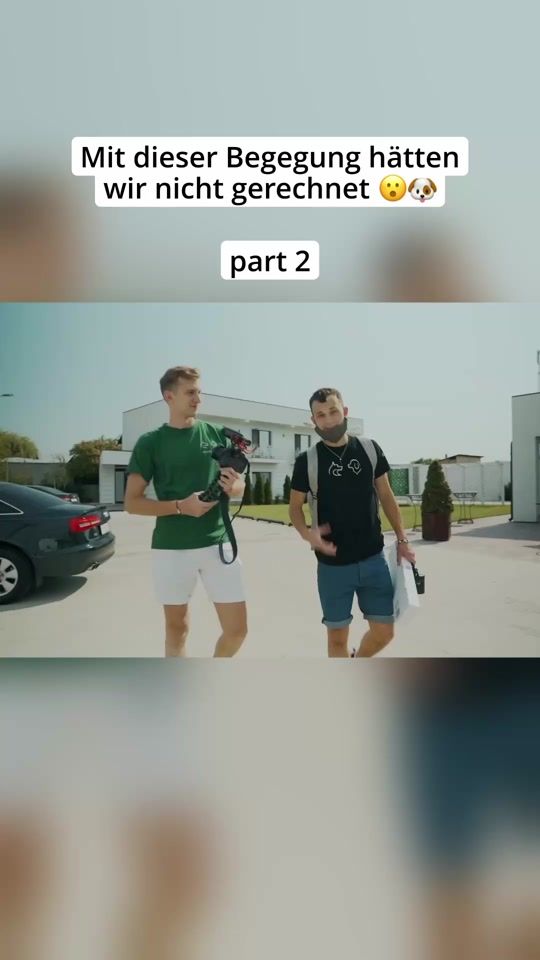 TikTok video thumbnail by _hunderunde_