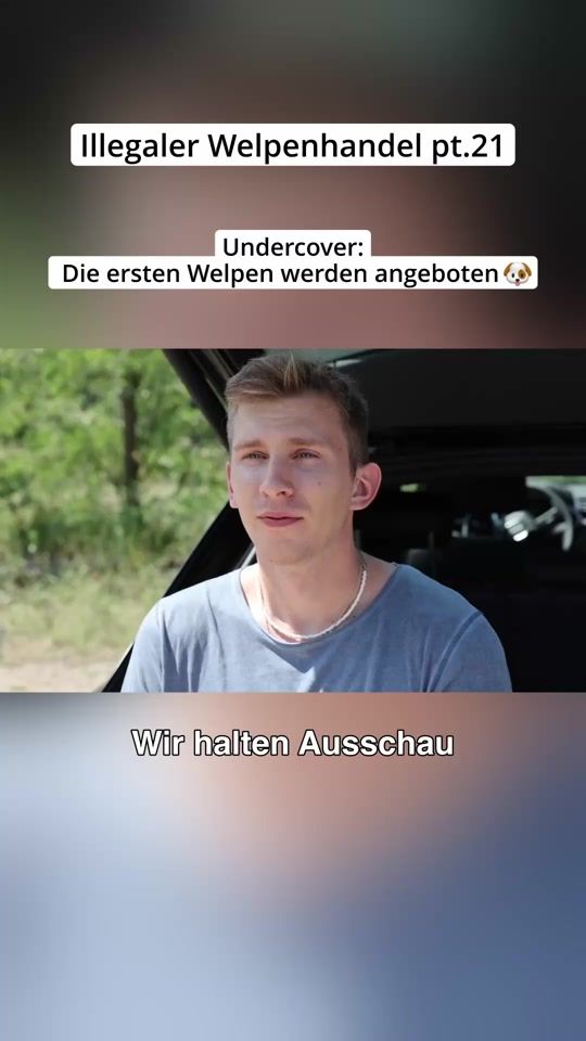TikTok video thumbnail by _hunderunde_