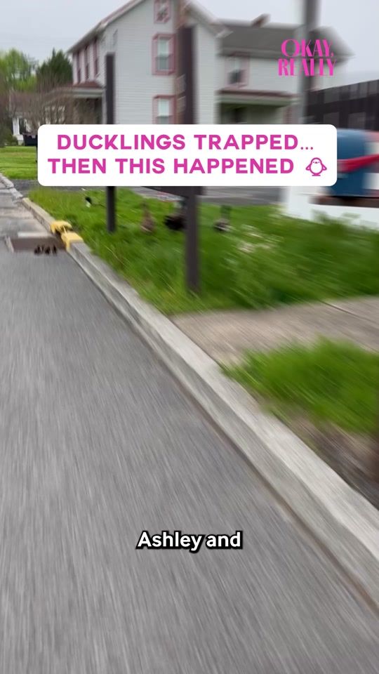 TikTok video thumbnail by okay_really_official