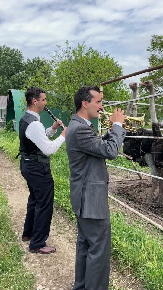 TikTok video thumbnail by cosimoandthehotcoals