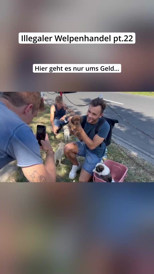 TikTok video thumbnail by _hunderunde_