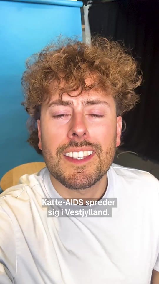 TikTok video thumbnail by ekstrabladetdk
