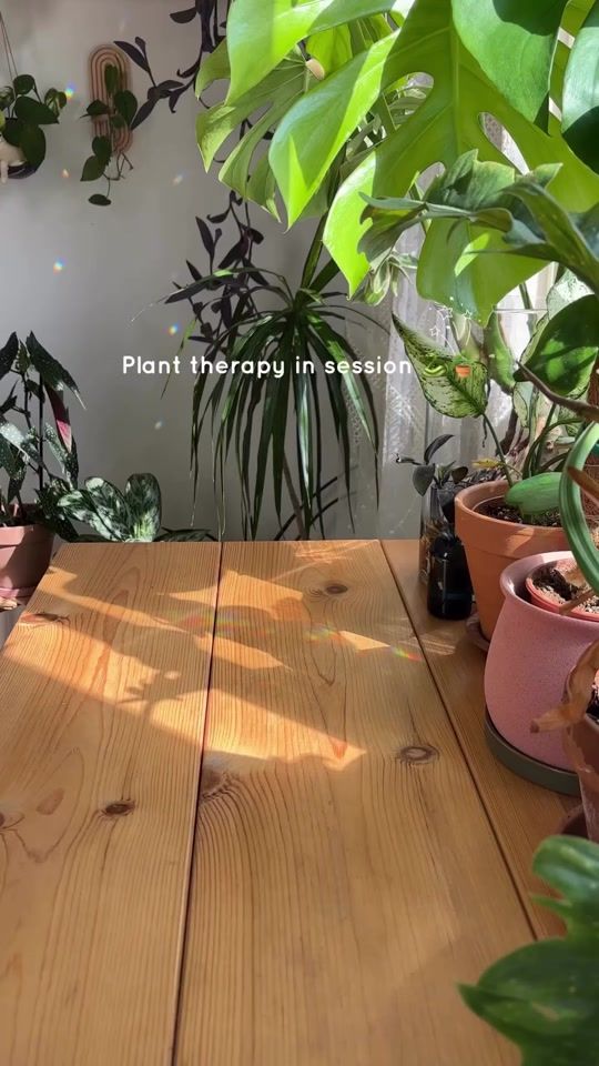 TikTok video thumbnail by plnts.com