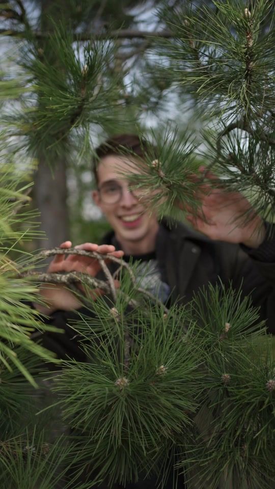 TikTok video thumbnail by kulturapont