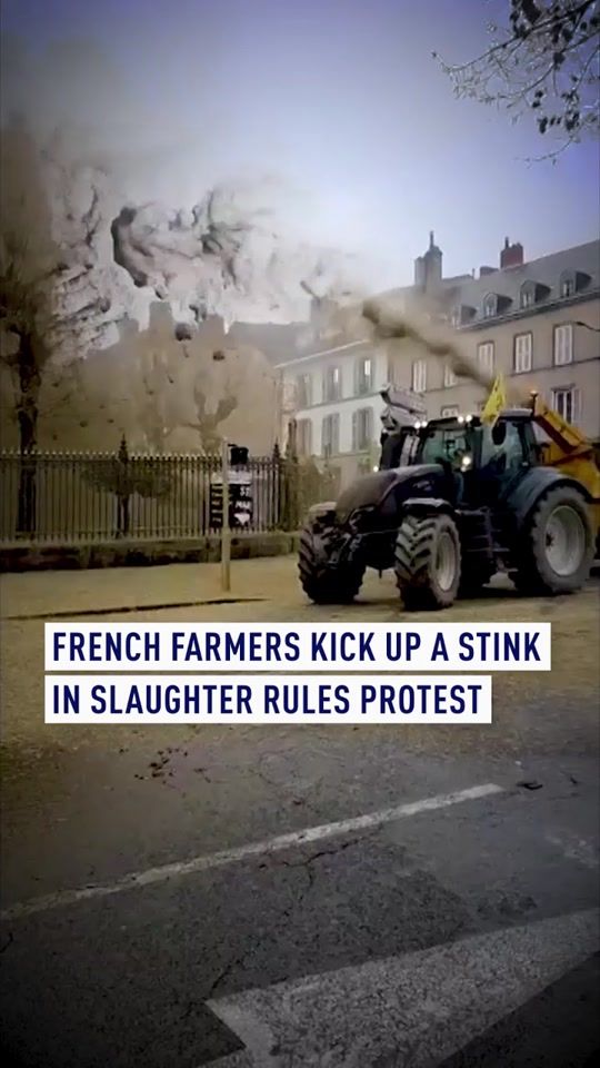 TikTok video thumbnail by cgtneurope