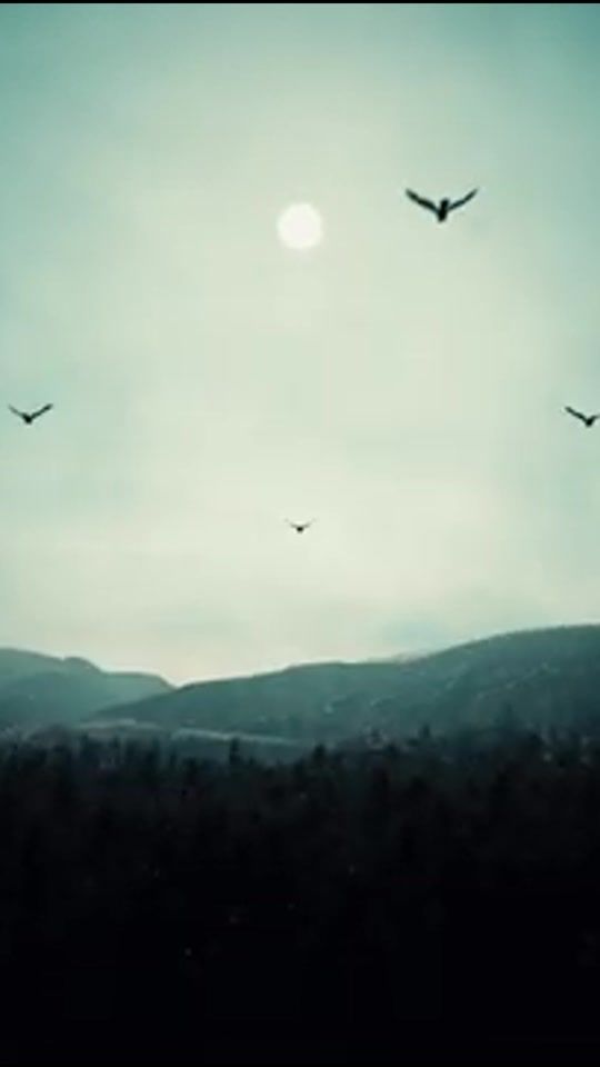 TikTok video thumbnail by vesna305fanacaunt
