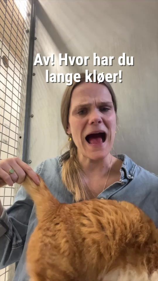 TikTok video thumbnail by dyrevaernet
