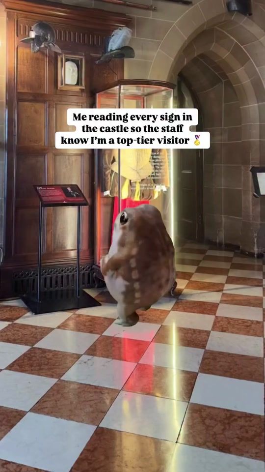 TikTok video thumbnail by warwickcastleofficial