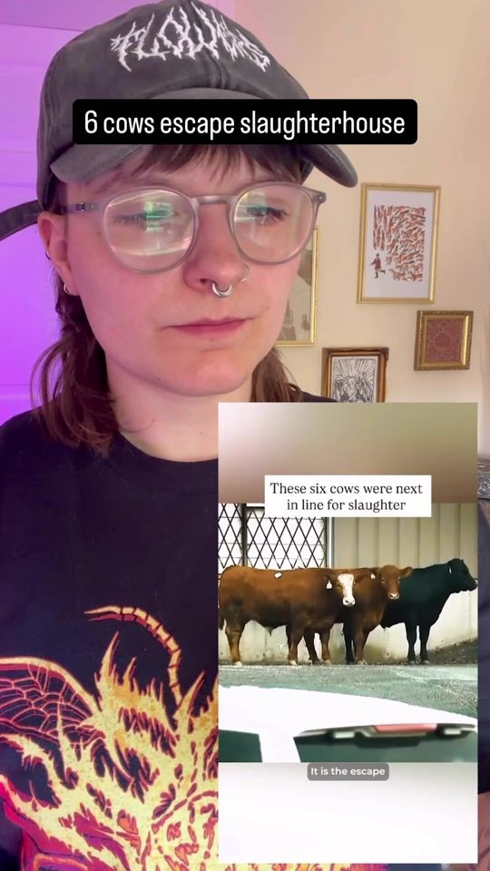 TikTok video thumbnail by vegan.f.t.a