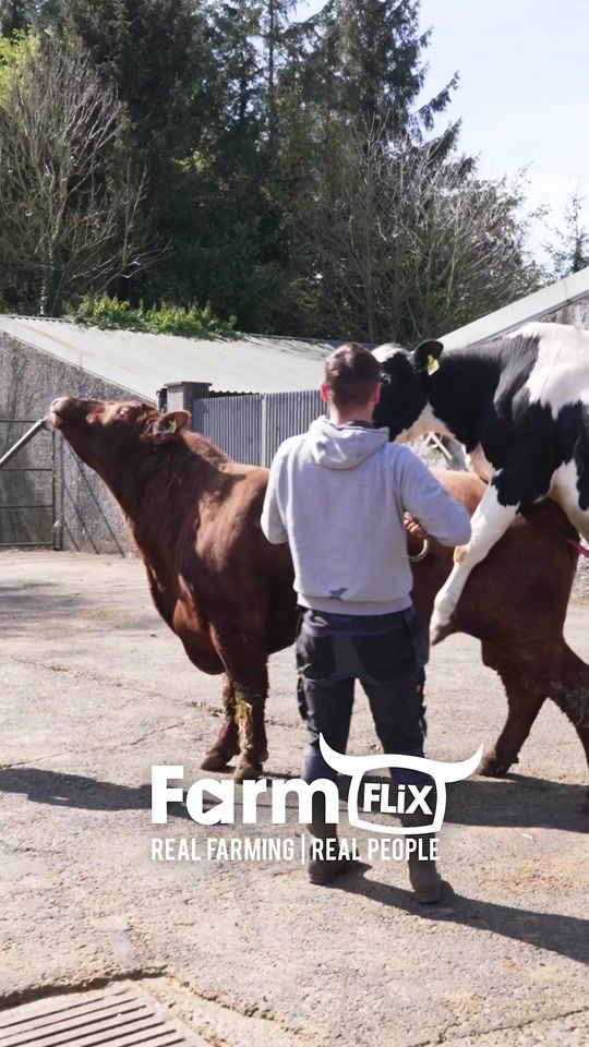 TikTok video thumbnail by farmflix