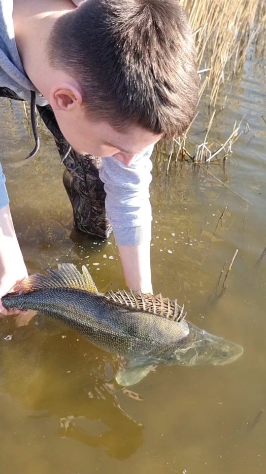 TikTok video thumbnail by jaeger.fishing