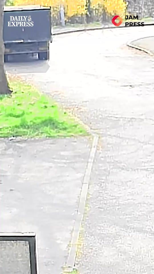 TikTok video thumbnail by dailyexpress