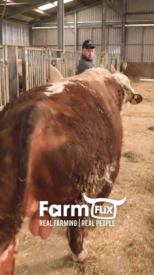 TikTok video thumbnail by farmflix
