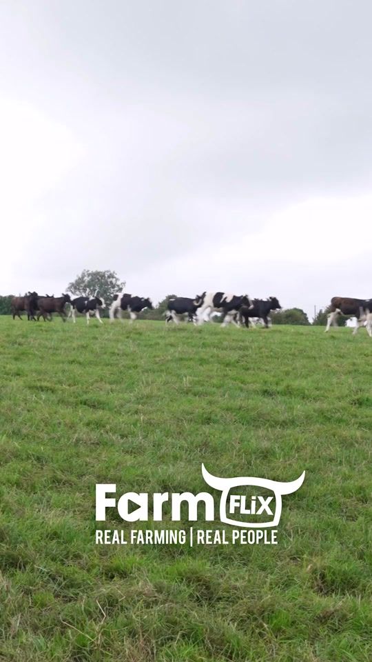 TikTok video thumbnail by farmflix