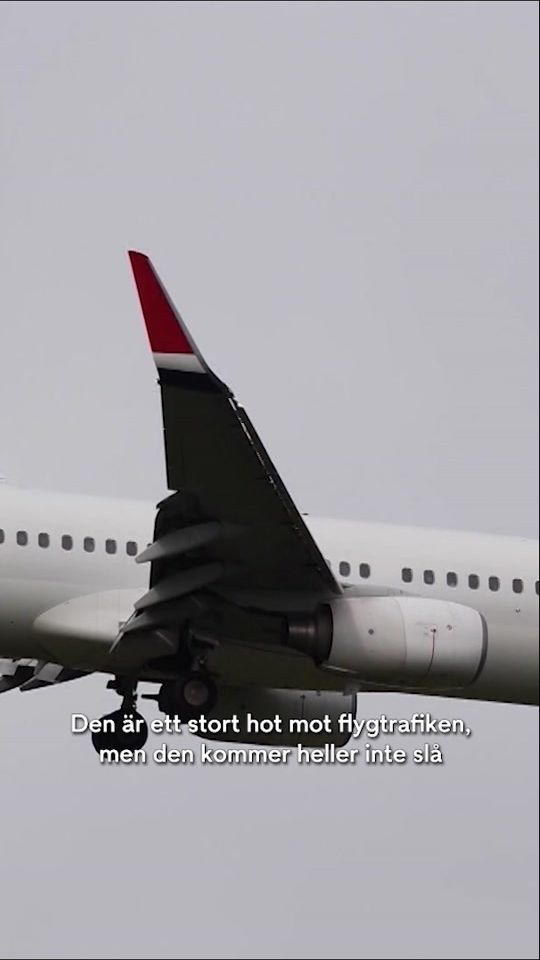 TikTok video thumbnail by nyhetsmorgon