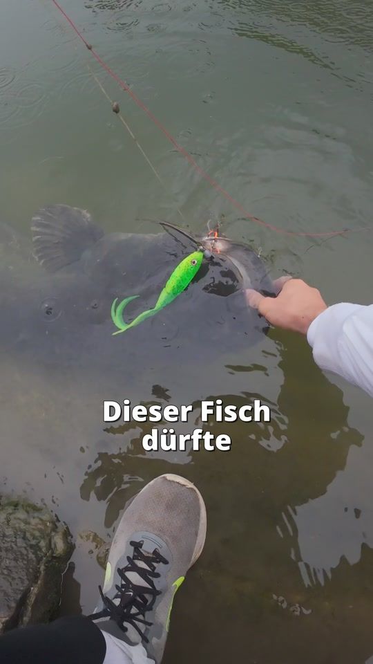 TikTok video thumbnail by jaeger.fishing