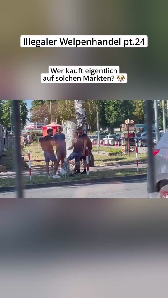 TikTok video thumbnail by _hunderunde_