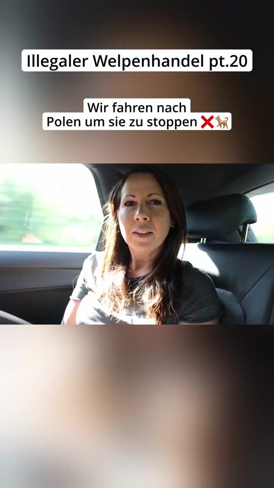 TikTok video thumbnail by _hunderunde_
